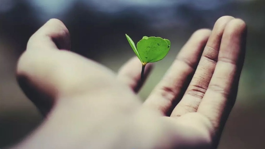 Mavida Selbsthilfezentrum