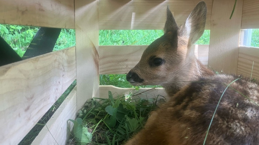 Secziun da catschadurs Péz Alpetta