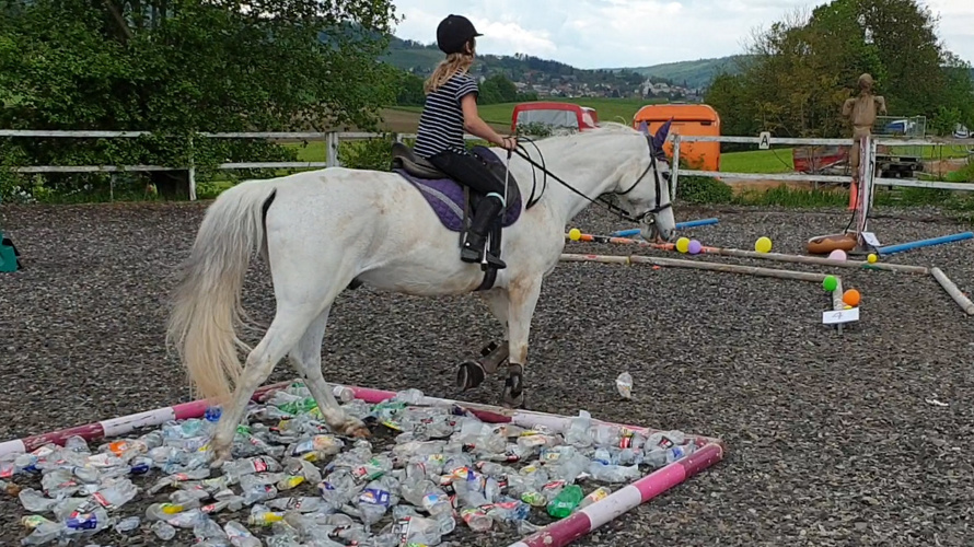 Support Reitschule Kastelhof