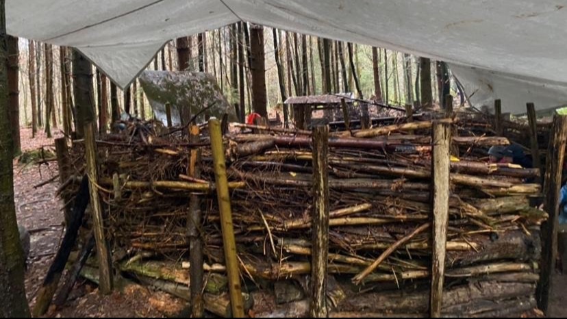 Kinder und Natur Waldspielgruppe