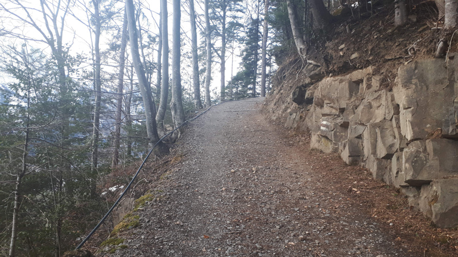 Nussbäumli, Wasser für immer