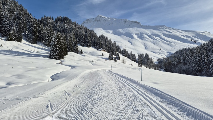 Ensemble, traçons l’avenir du ski de fond dans notre région !