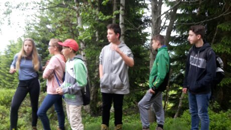 Balzplätze für Birkhähne