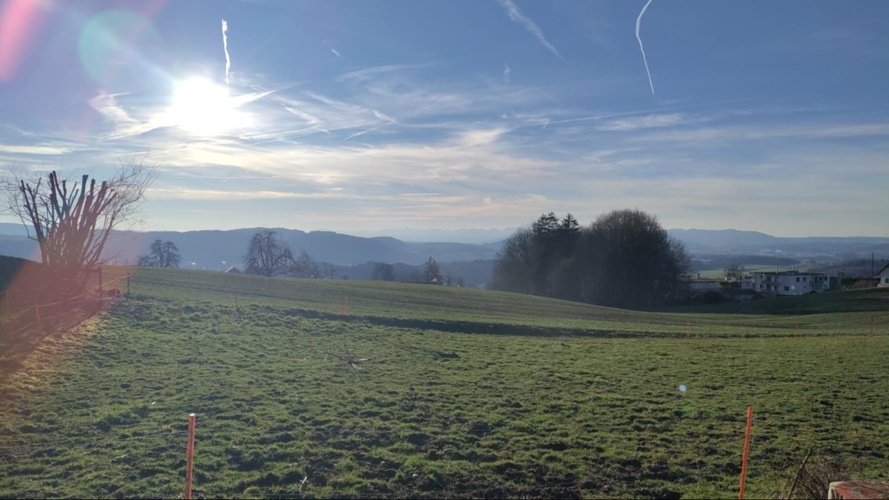 Vikings Axtwurfverein Rohrdorf