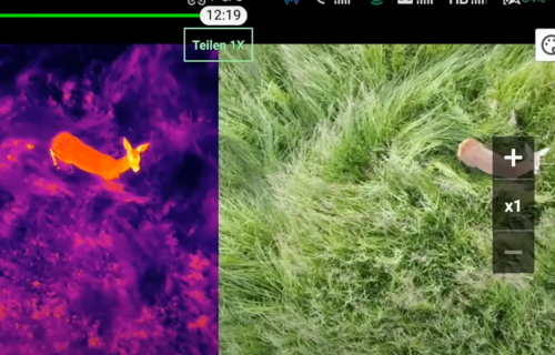 Rehkitzrettung Buächibärg Solothurn