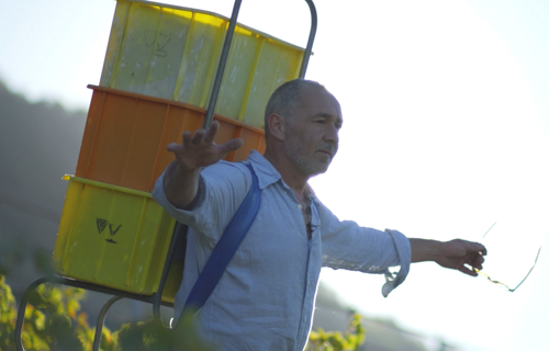 Sept Vignerons, le film