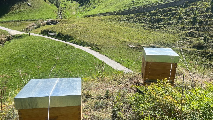 Zuflucht der Schwarzen Biene im Binntal
