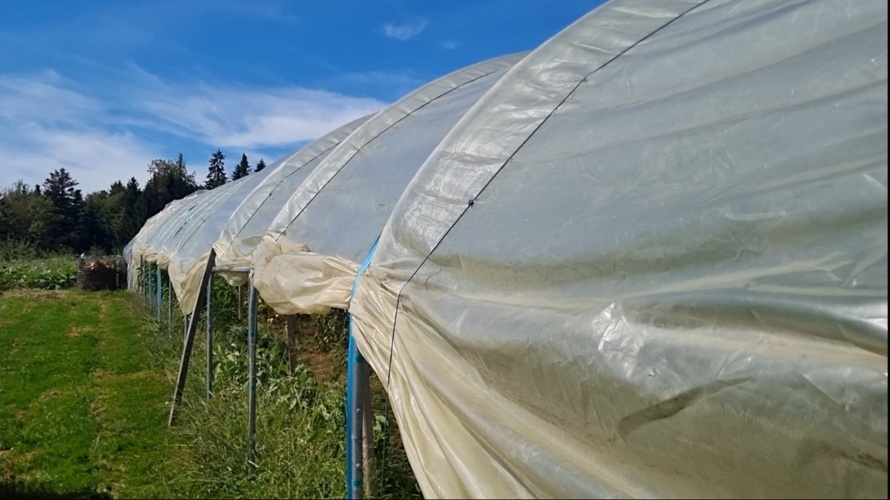 Neue Folien fürs Folientunnel