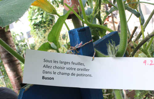 La ferme urbaine collaborative des Nations