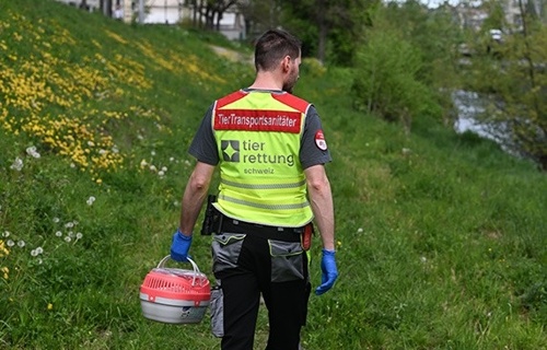 Stiftung Tierrettungsdienst