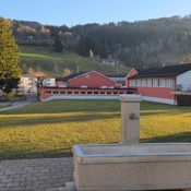 Primarschule Bühler