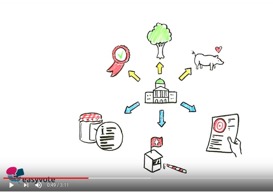 Erklärvideo im Wert v. CHF 7'500