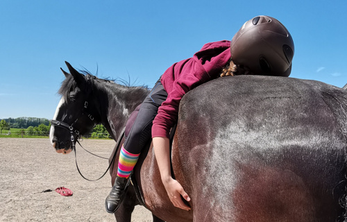 Pferdegestützte (Trauma-) Therapie ermöglichen