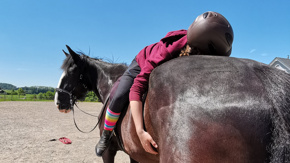 Pferdegestützte (Trauma-) Therapie ermöglichen