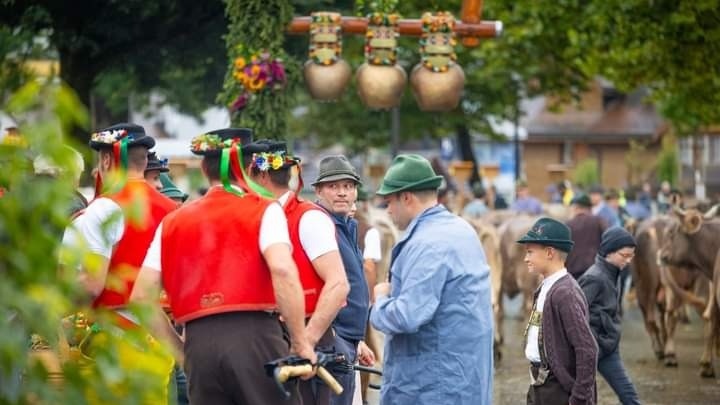 Viehzuchgemeinschaft Herisau