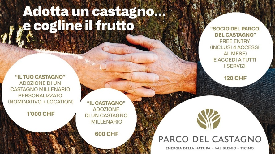 Adoptiere einen Kastanienbaum!