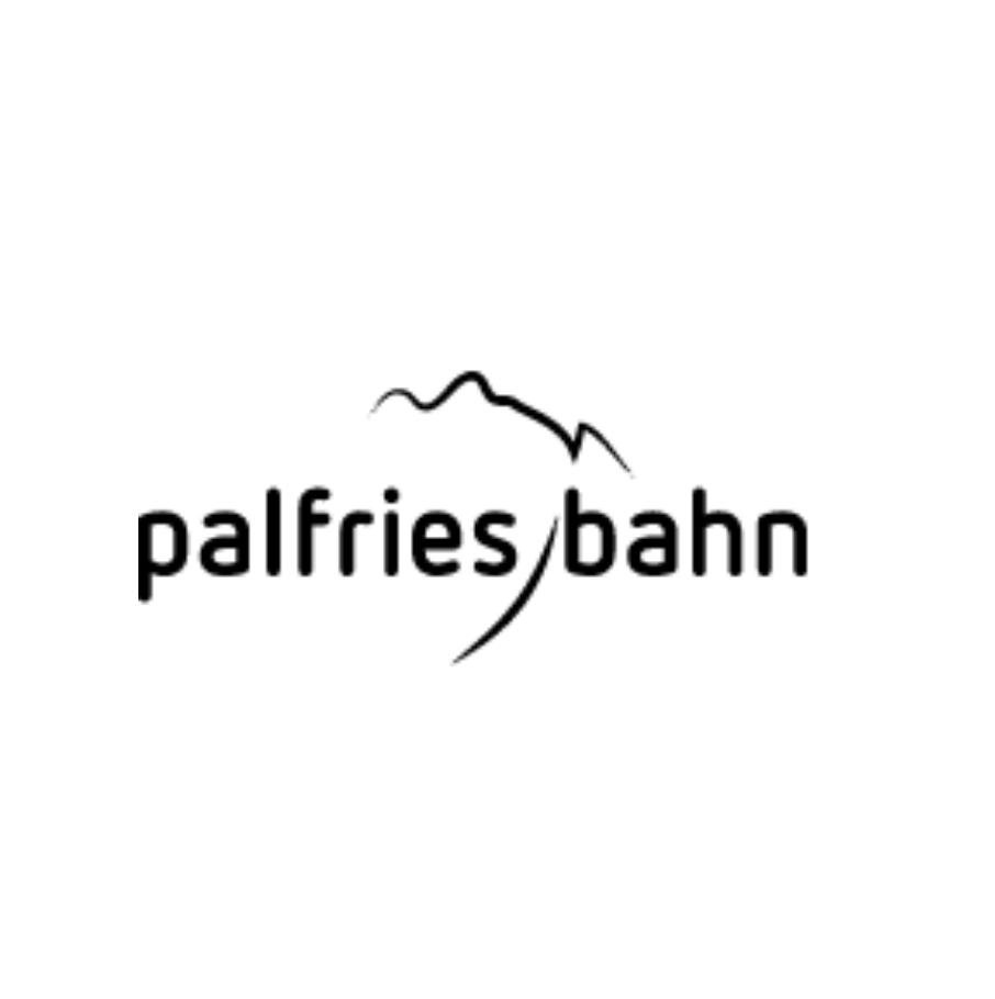 Tageskarten Seilbahn Palfries