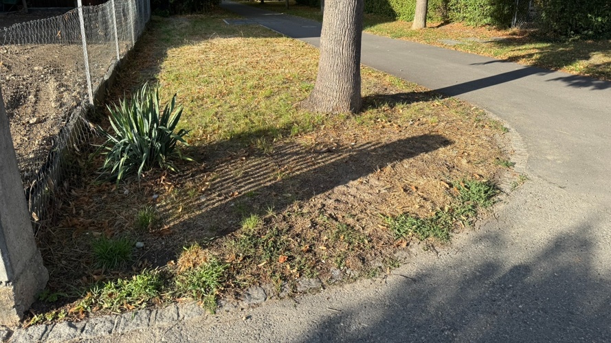 Pocket Park am Heroweg