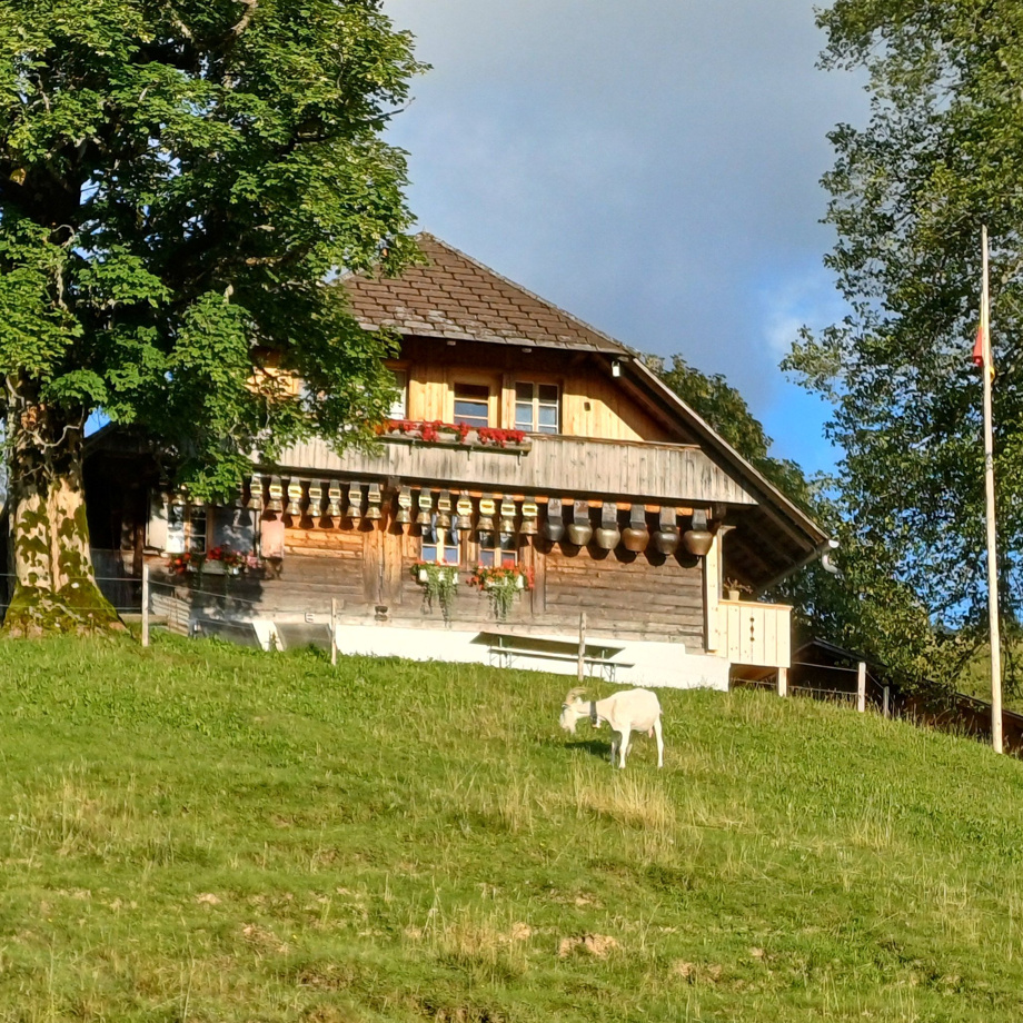 Übernachtung in einer Alphütte