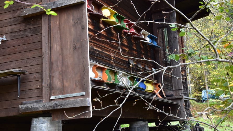 Neues Zuhause für Bienen, auch zum Beobachten