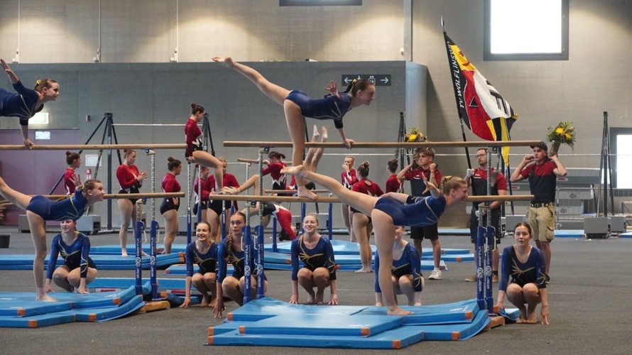 Damenturnverein Wölflinswil