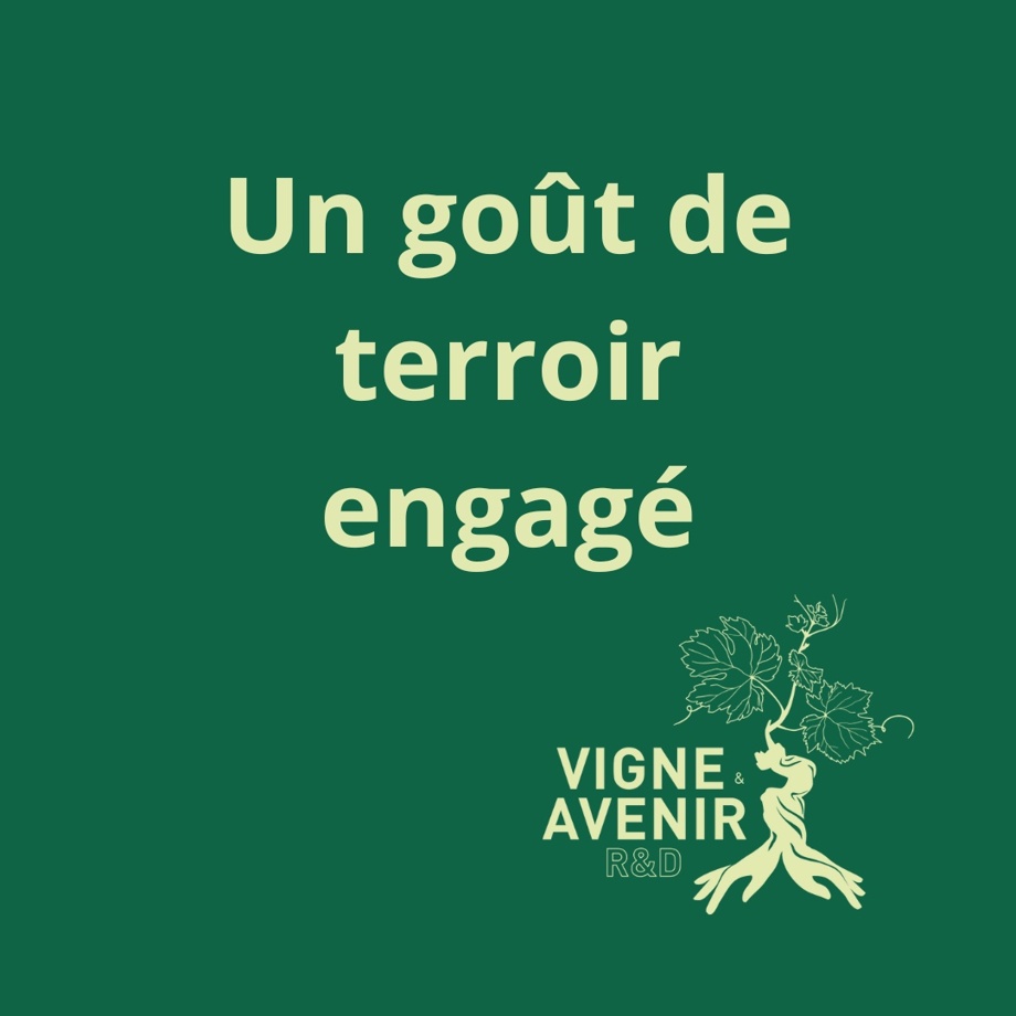 Un goût de terroir engagé