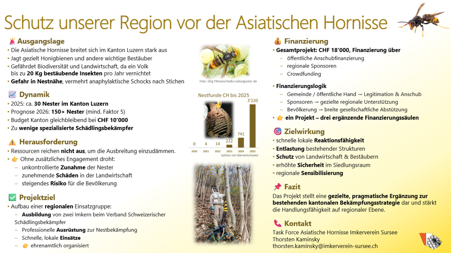 Gemeinsam gegen die Asiatische Hornisse in der Region Sursee