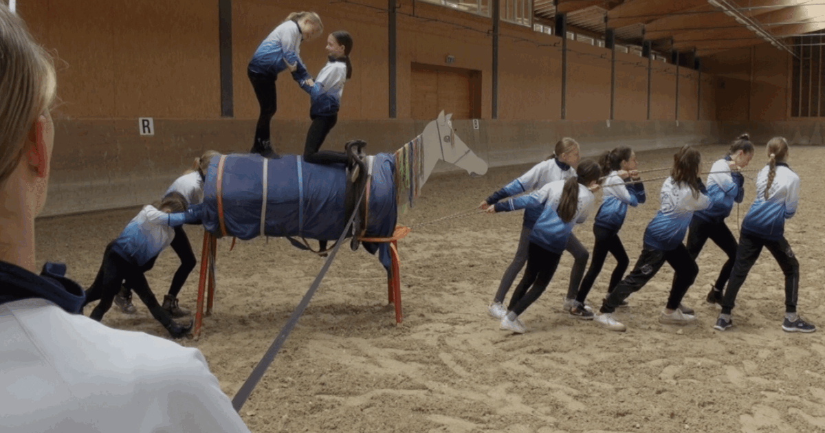 Neues Pferd für unsere Voltis - Lokalhelden.ch - Crowdfunding von ...
