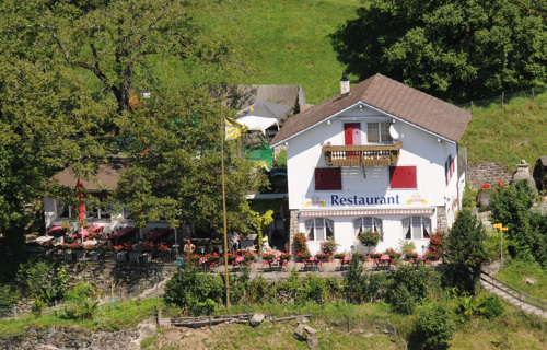 Nussbäumli, Wasser für immer