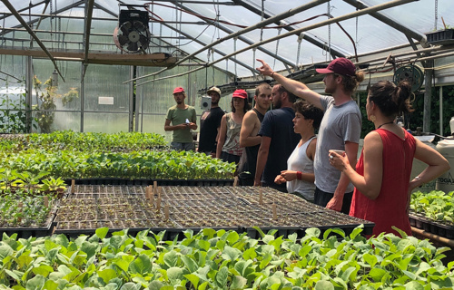 Selbtsorganisierte Ausbildung im ökologischen Gemüsebau, F.A.M.E.