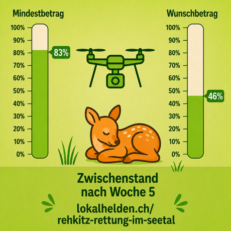 Crowdfunding: Woche 5