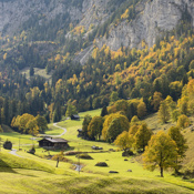 Naturpark Diemtigtal