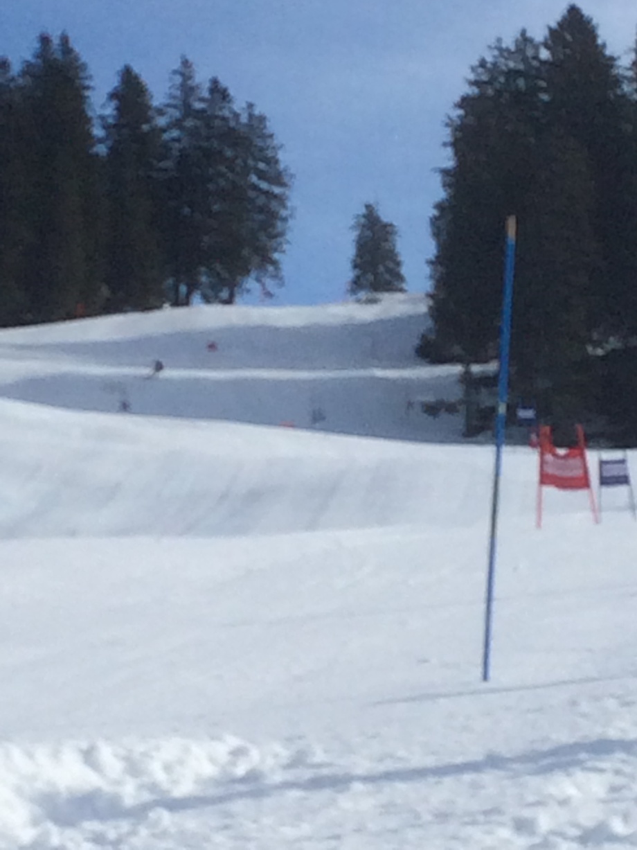Skitag mit Reto im Brunni/Alpthal
