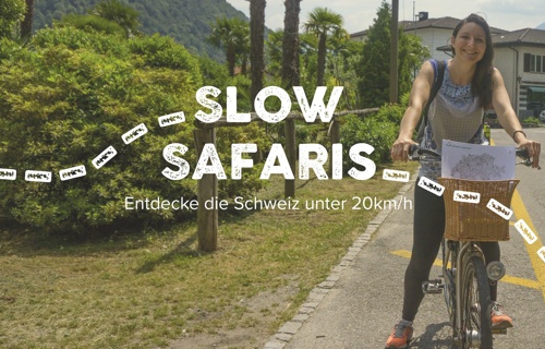 Slow Safaris