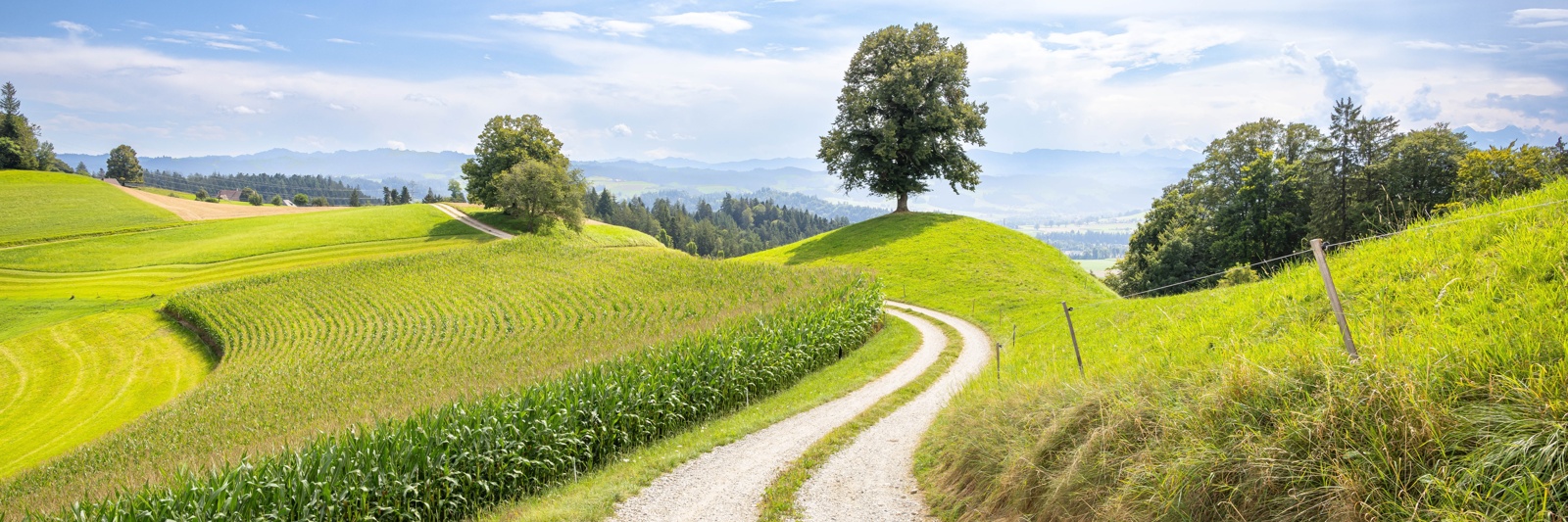 Raiffeisenbank Emmental