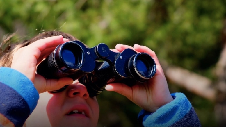 Ecole aux Akènes à Lens