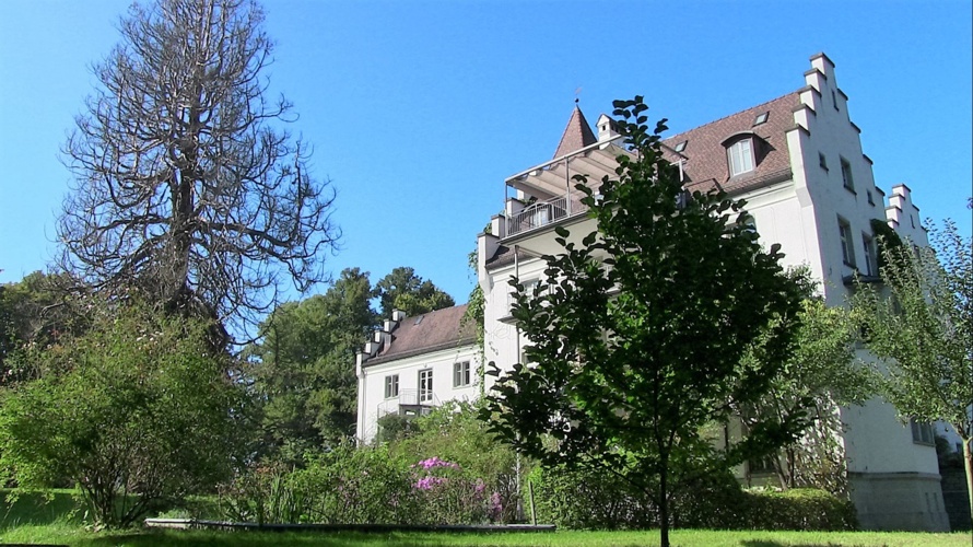 Lebensraum «Wildhecke» im Warteggpark Rorschacherberg