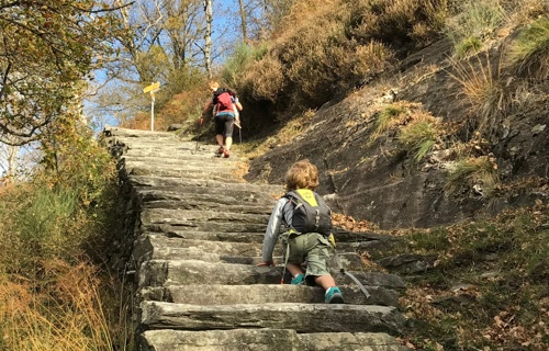 Corsa da Marena 2025