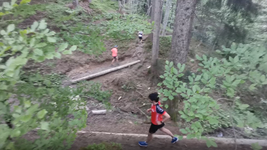 Wegweiser für den Trail Run Einsiedeln (TRE)
