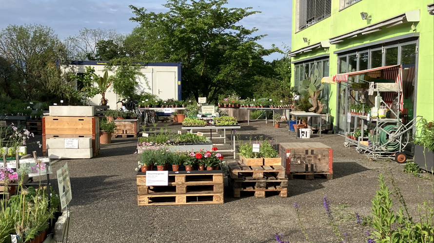 Für mehr Biodiversität – und neue Zukunftschancen