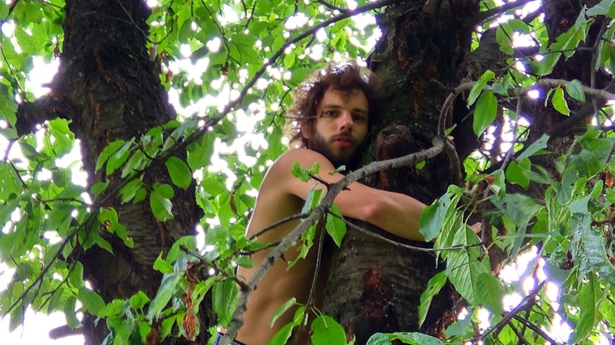 BAUMSY eine musikalisch-tänzerische Begegnung mit dem Baum