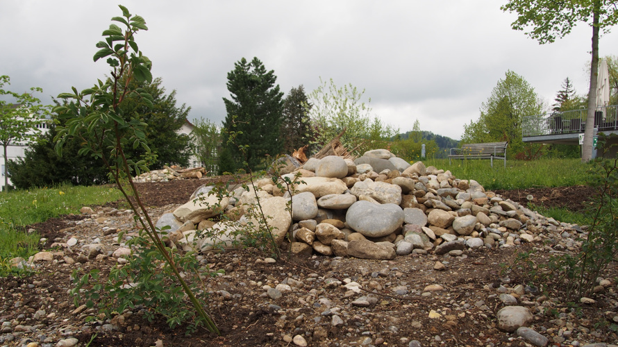 Ornithologische Gesellschaft Herisau und Umgebung (OG Herisau)
