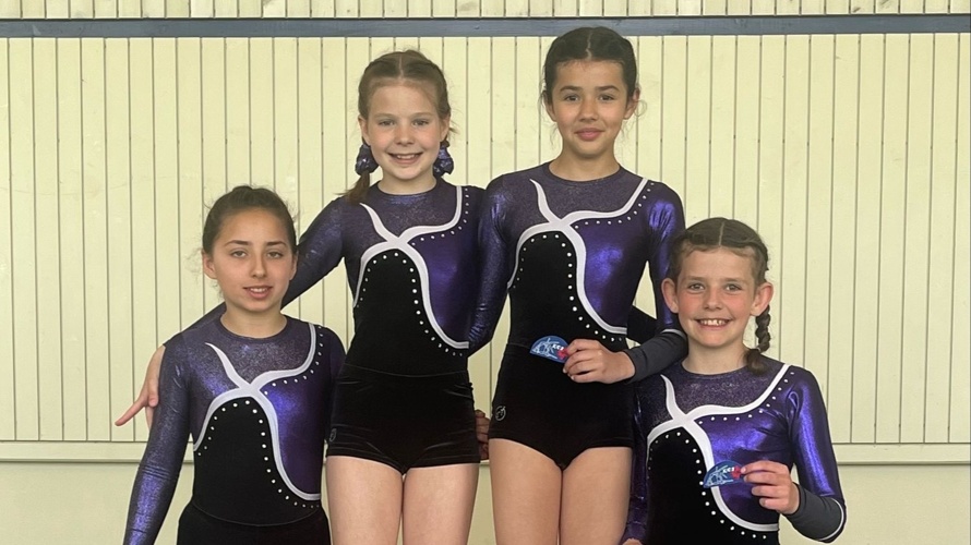 neue Vereinsdress für unsere Geräteriege