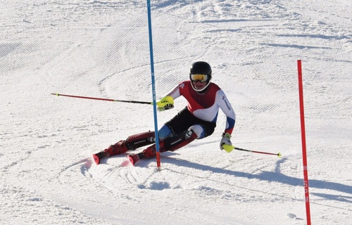 Basil Güttinger, Ski Alpin - Rennsaison 2019/20