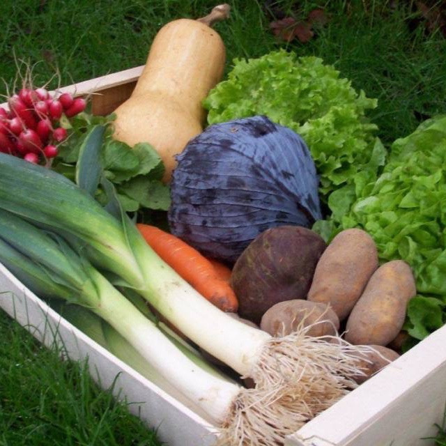 Le Gros Abonnement Surprise