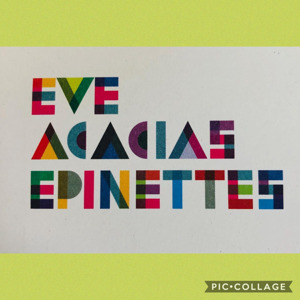 autocollant logo EVE Acacias-Epinettes