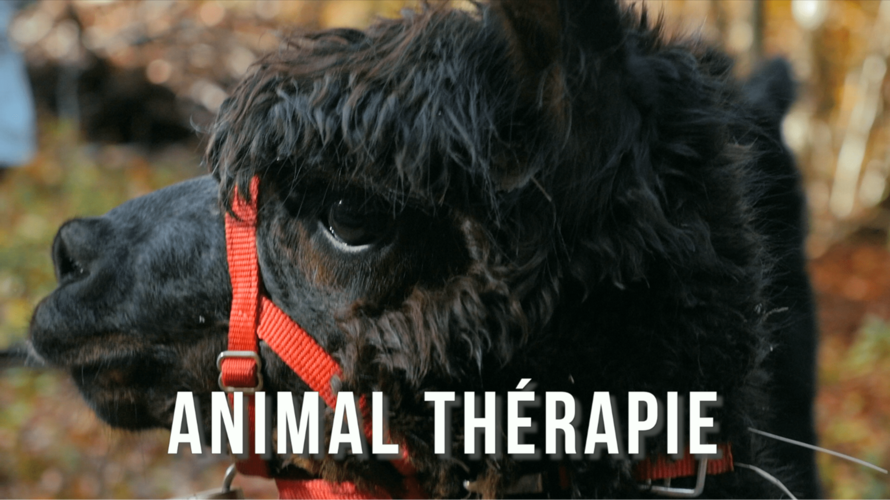 Soutien au projet Lampaga