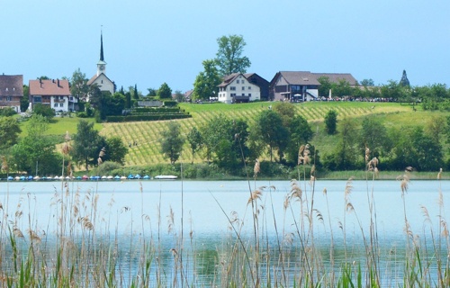 Raiffeisenbank Zürcher Oberland