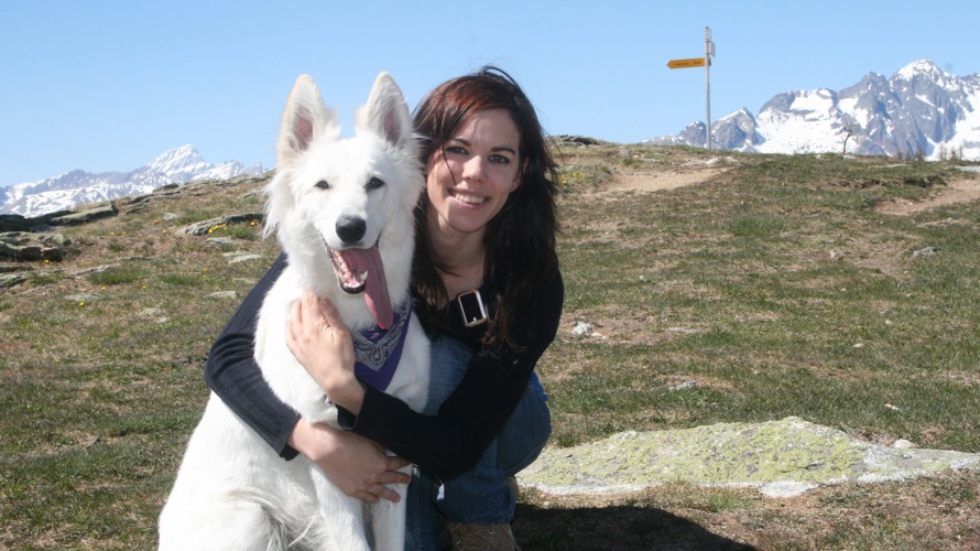 Neugestaltung Hunde-Trainingsplatz in St. Niklaus