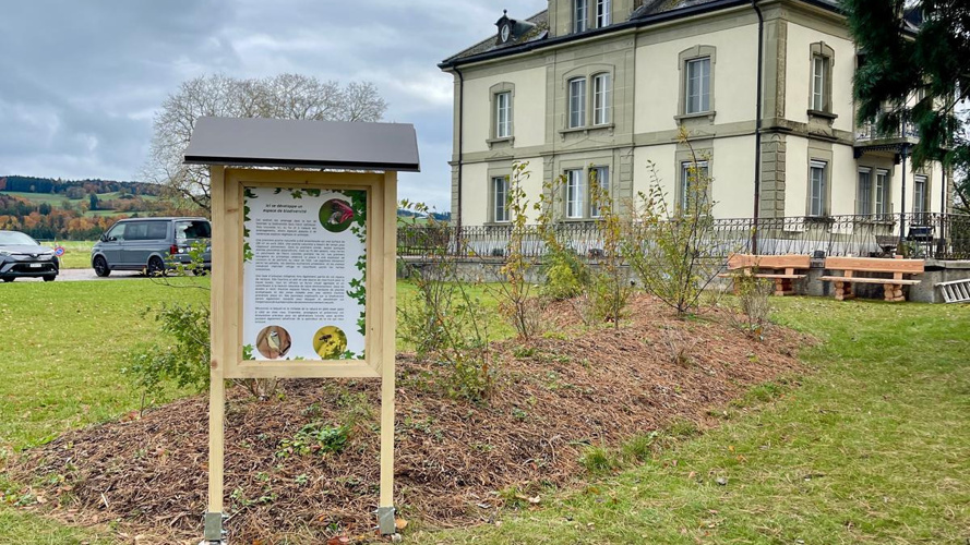 Spirale en pierres sèches de plantes aromatiques